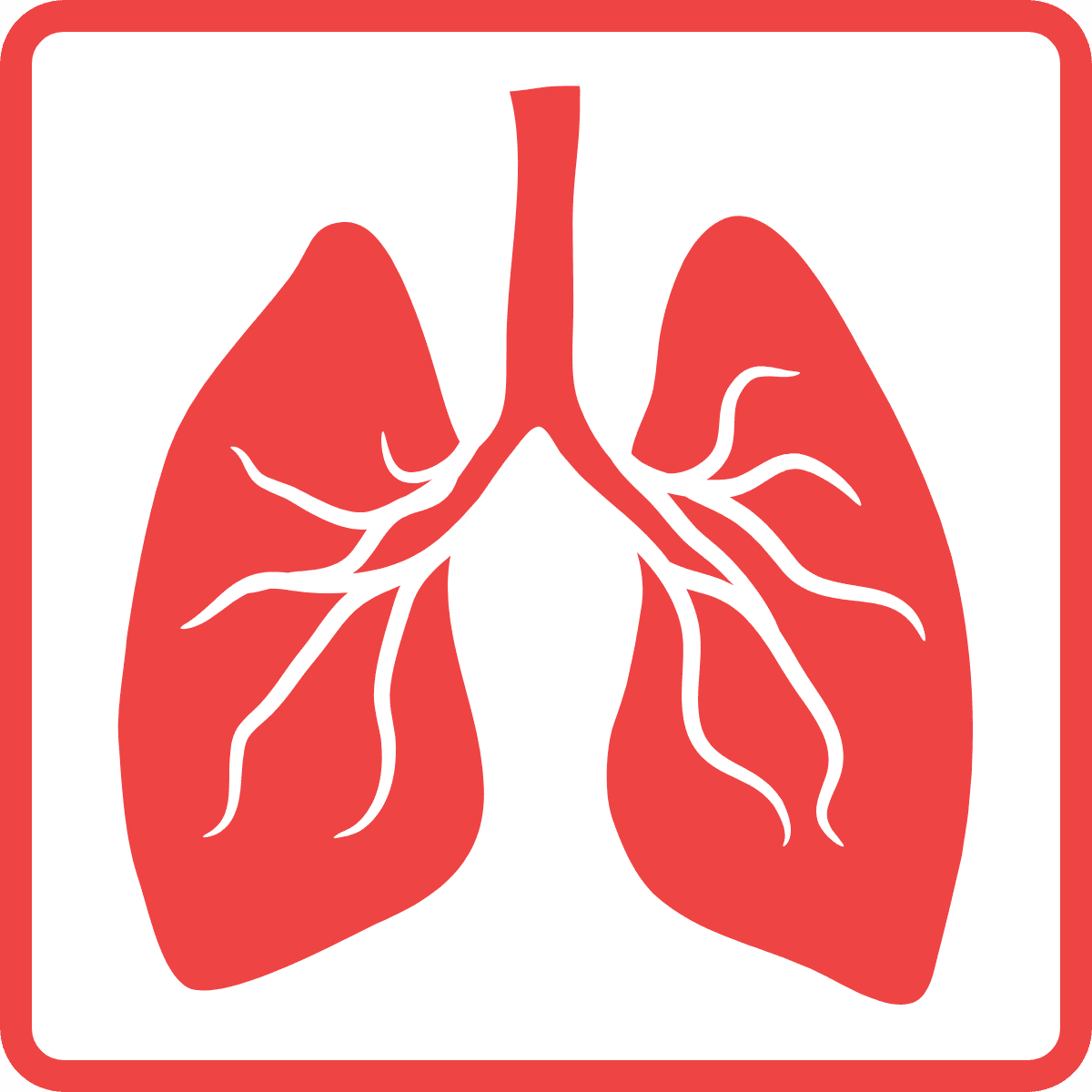 brusano image link to Tuberculose